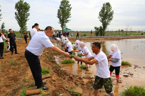 袁隆平海水稻插秧仪式在禹王湿地举行